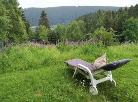 Harz-See-Lodge，位于上哈茨山区舒伦贝格的酒店