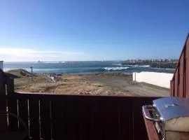 Robbins by the Sea