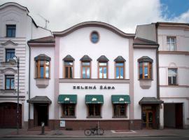 泽拉纳扎巴旅馆，位于帕尔杜比采的住宿加早餐旅馆