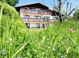 Ferienwohnung Tschengla mit eigener Sonnenterrasse - Wiese - Wlan - Netflix