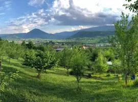 Nektar Park Villa Sara