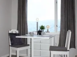 Studioleilighet i Haukedalen