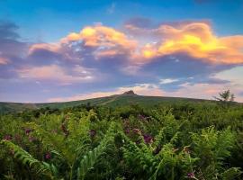 Haytor Court, Haytor, Dartmoor，位于Haytor的度假短租房