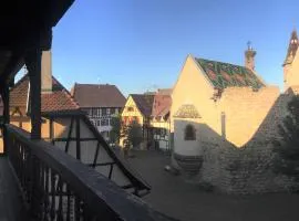 Duplex Saint Lustre, view over castle and storks, 5 mn from Colmar