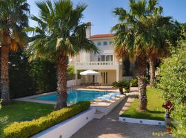 Luxury Villa Anavissos，位于阿纳维索斯的酒店