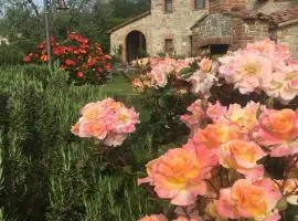 Agriturismo Valiana