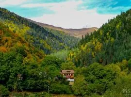 Summer house on a hill near Shovi