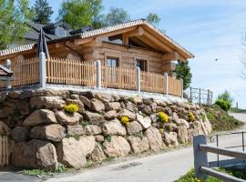 Chalet Ellerbeck，位于Langdorf im Landkreis Regen的木屋