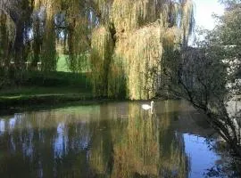 Le Clos des Cygnes