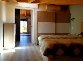 Apartamentos Aranda - Ático Duero