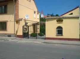 Pensiunea Casa Vulkan