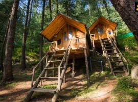 LivingStone Ojuven Treehouses，位于西姆拉的木屋