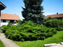 Apartment Dedine Golubac，位于哥鲁拜克的酒店