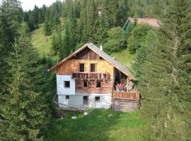 Ferienhaus Flattnitz，位于Flattnitz的酒店