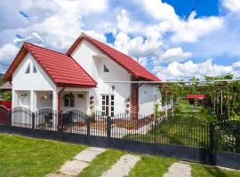 Casa de vacanta Marya，位于巴亚德菲耶尔的宠物友好酒店