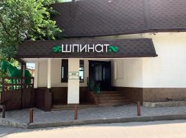 Shpinat，位于敖德萨的宾馆