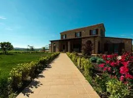 B&B Olmo