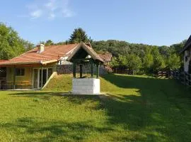 Kula House Vrdnik