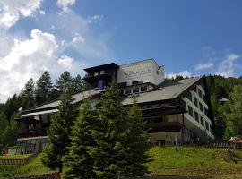 Kinder- und Familienhotel Nockalm，位于茵聂科里姆斯Zechnerhohe附近的酒店