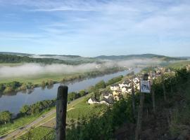 Wein- und Gästehaus Genetsch，位于利塞尔的旅馆