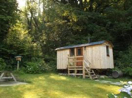 'Morris' the shepherd's hut with woodland hot tub，位于卡马森的酒店