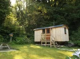 'Morris' the shepherd's hut and woodland hot tub experience