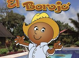 Hosteria El Borojo，位于Pedro Vicente Maldonado的酒店