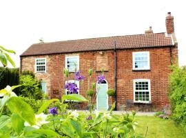The Vine B & B