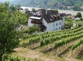 Weinbau und Gästezimmer Pammer