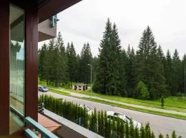 Loft Apartment Silver Mountain