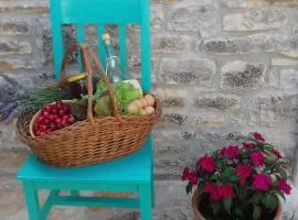 Authentic Istria&pet friendly apartment Banko near Rovinj