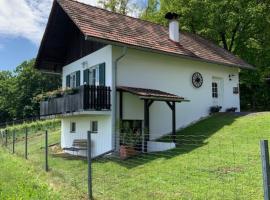 Weinbergstöckl Gombotz，位于Neuhaus am Klausenbach的酒店