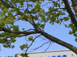 阿罗斯酒店，位于蒂黑的酒店