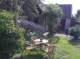 Tinyhouse op Terschelling