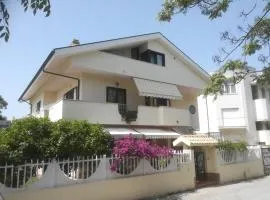 Il Cavalluccio Marino