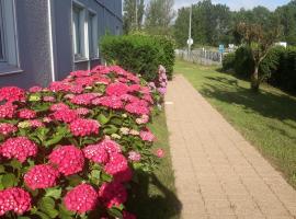 Hotel - Restaurant du Lac - Agen