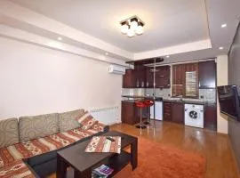 Apartments in center of Yerevan,Koghbatsi 1a street