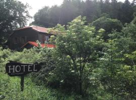 HÔTEL RESTAURANT LA FOURMI，位于Bourbach-le-Haut的酒店