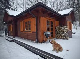 Domek na Stoku