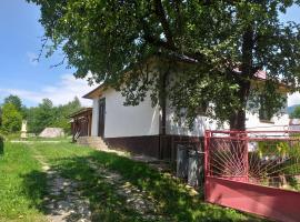 Turistická ubytovňa Chalupa Runina 8，位于Runina的酒店