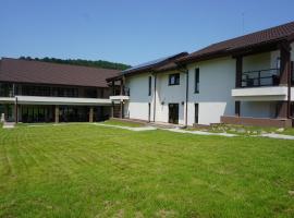 Pensiunea Patru Anotimpuri，位于Sasca Română的酒店