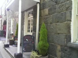 Grapes Hotel Maentwrog，位于布莱奈费斯蒂尼奥格的酒店