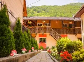 Pensiunea Casa Ioana