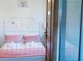 Harmony Hostel，位于扎托尔的青旅