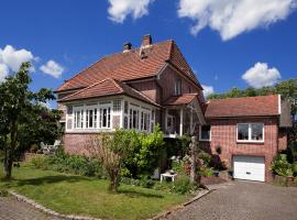 Ferienwohnung Gosch am Lühedeich，位于Grünendeich的酒店