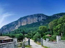 anastasios paleokastritsa studios