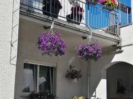 Ferienwohnung-Kiefer，位于Hillscheid的公寓