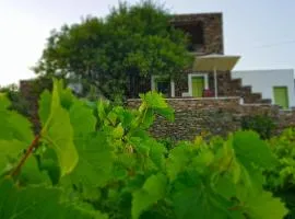 Cycladic Vineyard House