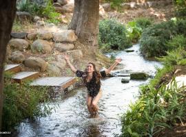 刷子清风山林小屋，位于哈戈什里姆的山林小屋