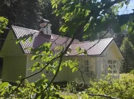 Leluselja Metsamõisa Saunamaja